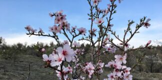 Primavera al museo, fra referendum e Pasqua