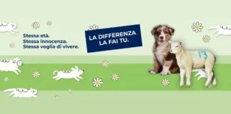 La differenza la fai tu: a Pasqua cambia menu