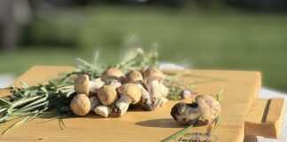 Bedonia e i suoi mille prugnoli