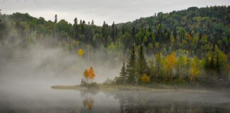Incontri / Canada, la natura del Quebec