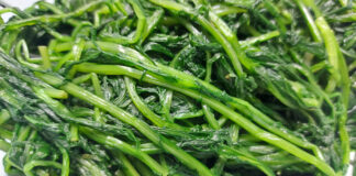 La cicoria fiorisce in tavola