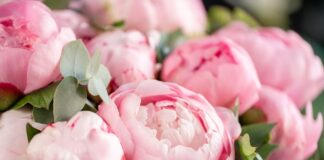 Brescia in fiore