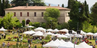 Franciacorta in Fiore: sole che splende, fiore che sorprende